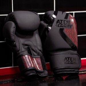 GANTS BOXE ADULTE